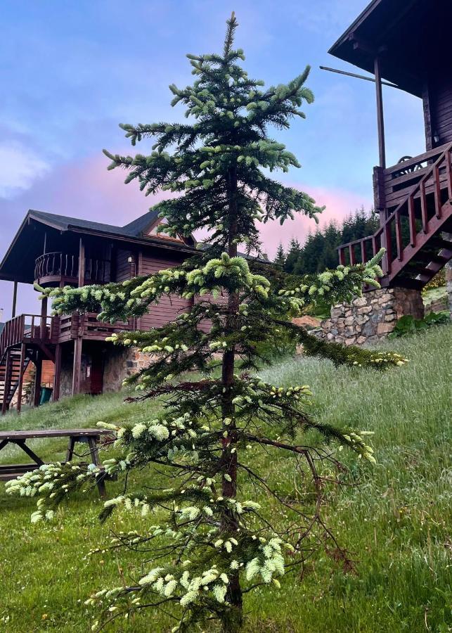 Villa Kuembet Dag Evi Esterno foto
