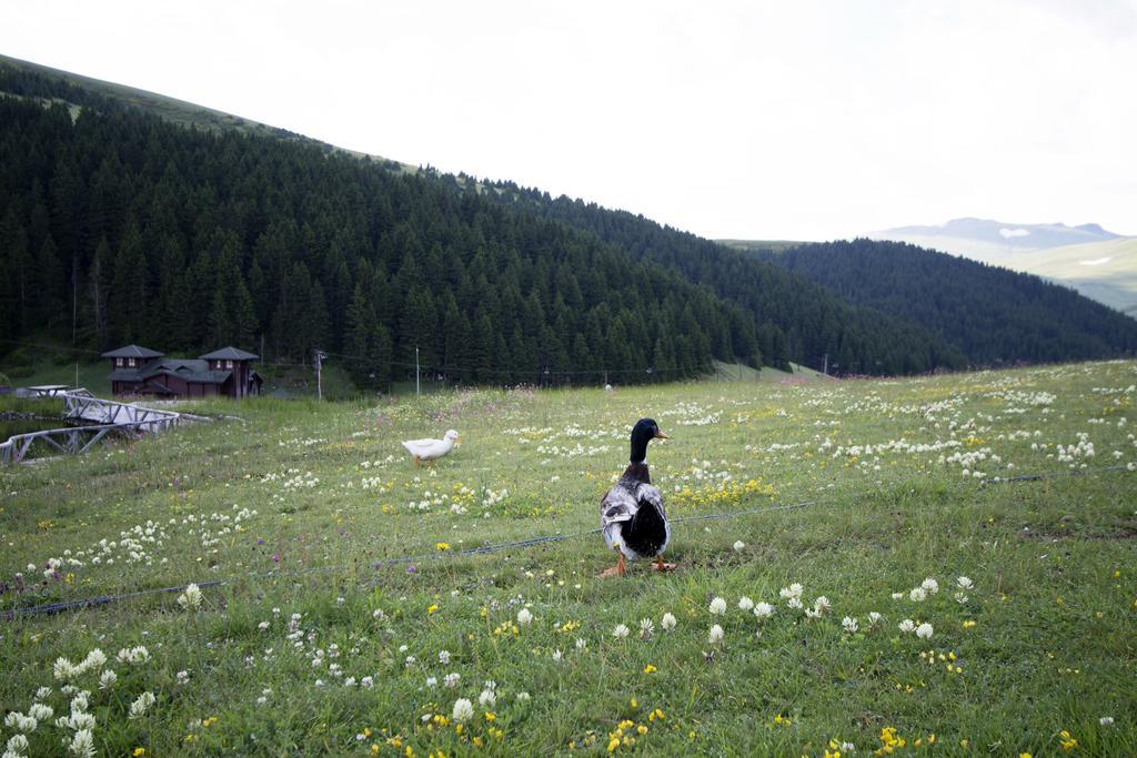Villa Kuembet Dag Evi Esterno foto